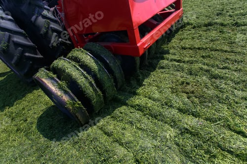 Preview: tractor harvesting hay for animals, tractor harvesting green grass for feed, agribusiness concept