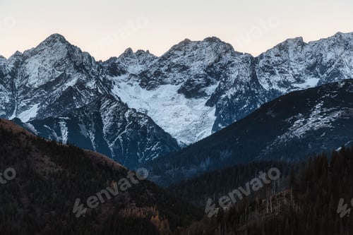 Preview: Tall snow-capped mountains in the background, with a dense forest of evergreen trees