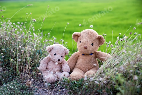 Preview: Two Teddy Bears sitting and picnic on grass with green rice field background.