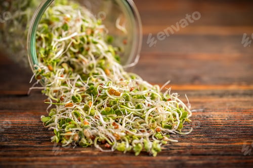 Preview: Mix of fresh sprouts