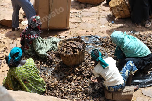 Preview: African woman cleaning fish in an african harbour