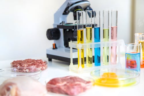 Preview: Examine meat in the laboratory. Selective focus.