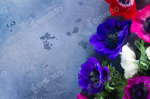 Preview: Anemones flowers on stone background
