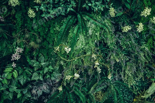 Preview: Close up group of background tropical green leaves texture and abstract background.