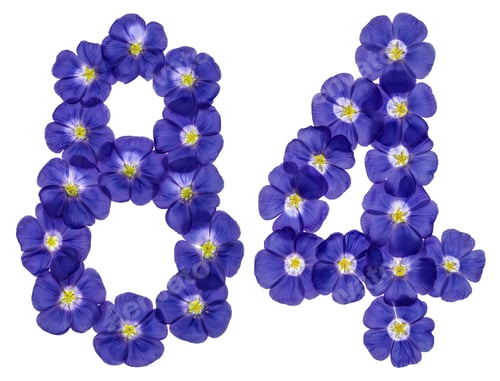 Preview: Arabic numeral 84, eighty four, from blue flowers of flax, isolated on white background
