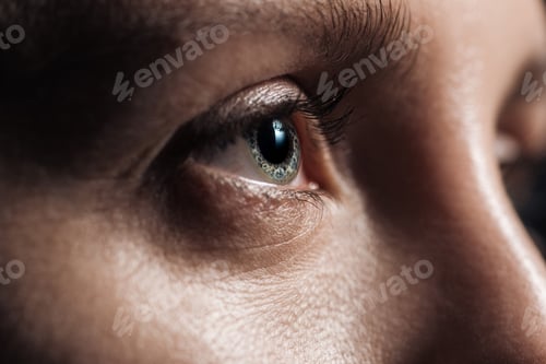 Preview: close up view of young woman grey eye looking away