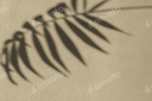 Preview: Shadows nature beige gray background