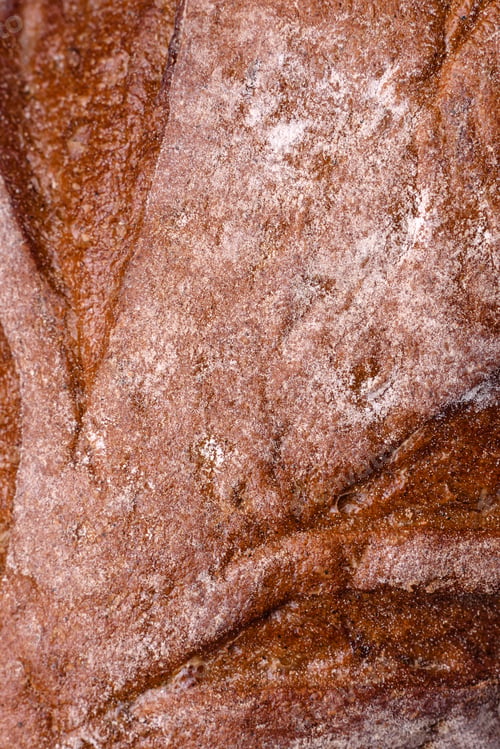 Preview: Delicious fresh crispy brown bread with cereal grains and spices