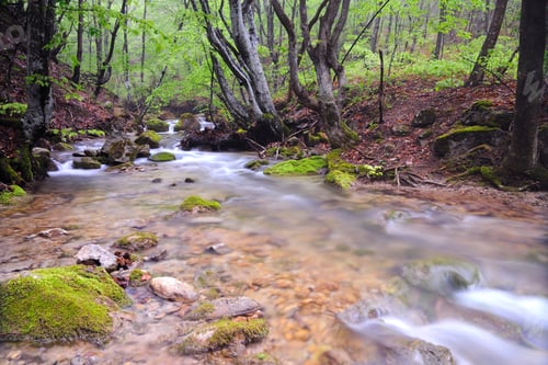 Preview: Stones lie in water in mountain stream