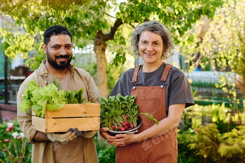Preview: Intercultural farmers holding harvest