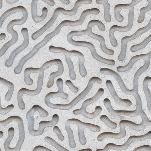 Vista previa: Pared de yeso con patrón coralino