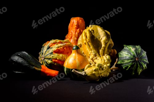 Preview: Closeup shot of varieties of pumpkins isolated on a dark background
