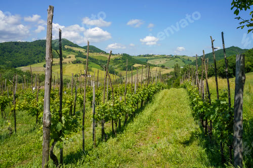 Preview: Rural landscape near Salsomaggiore and Fornovo, Parma, at springtime