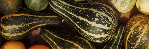 Preview: Banner variety of gourds, different shapes, patterns flat lay.