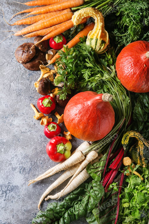 Preview: Variety of autumn harvest vegetables