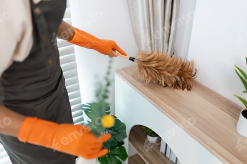 Preview: Professional Housekeeper Dusting a Shelf with Feather Duster in a Modern Home Interior