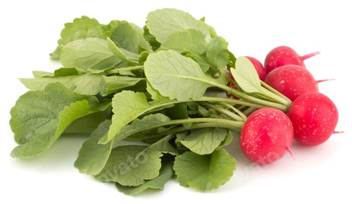 Preview: Fresh garden radish isolated on white background cutout