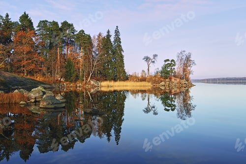 Preview: Autumn nature of Northern Europe in sunny day.