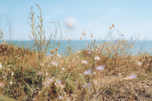Preview: Close up of green flowers in front of blue sea