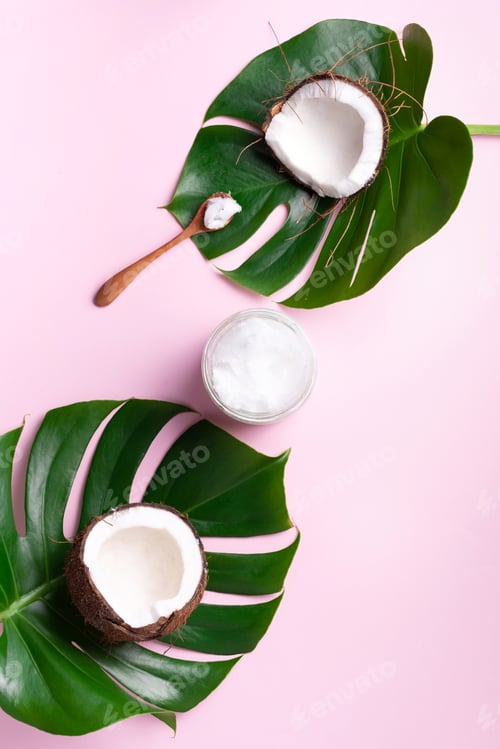 Preview: Coconut oil and ripe coconuts, tropical palm and monstera leaves on pink background with copy space