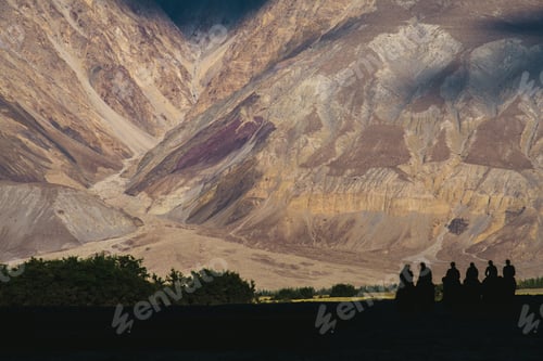 Preview: Silhouette image of camels caravan in the Hunder desert , Nubra valley ,India