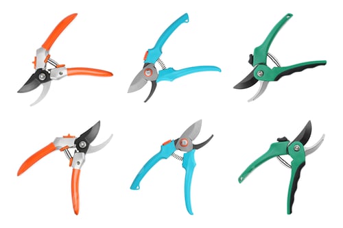 Preview: Collage with different color secateurs on white background. Gardening tool