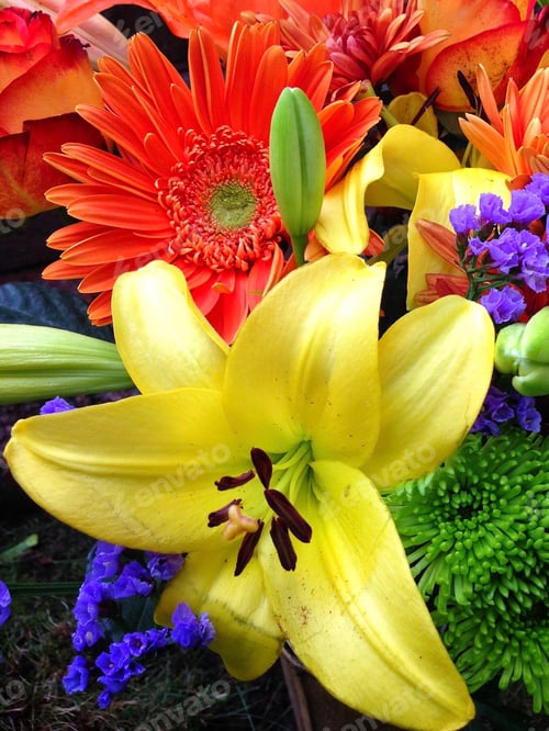 Preview: Vibrant colored flowers