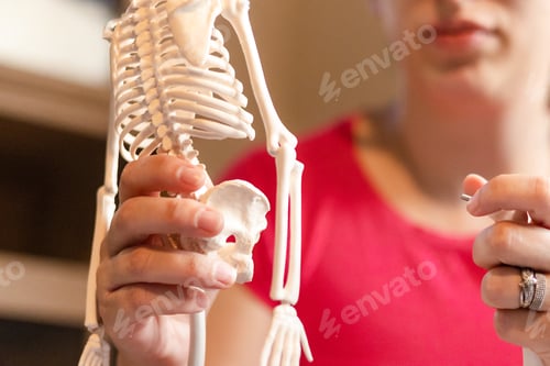 Preview: young millennial woman putting together anatomy& physiology human skeleton, school from home