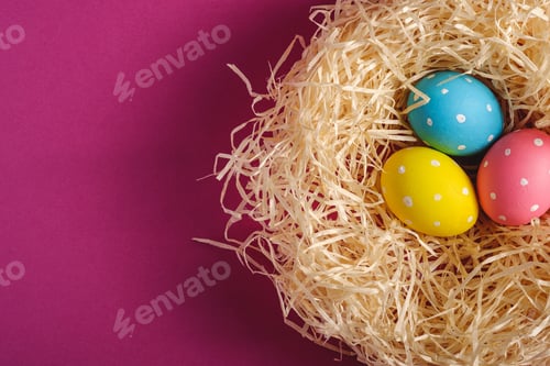 Preview: Colorful polka dot Easter eggs in wooden nest on pink purple background, greeting card
