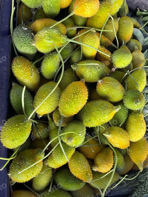 Preview: Vertical closeup of spiny gourds on a stack