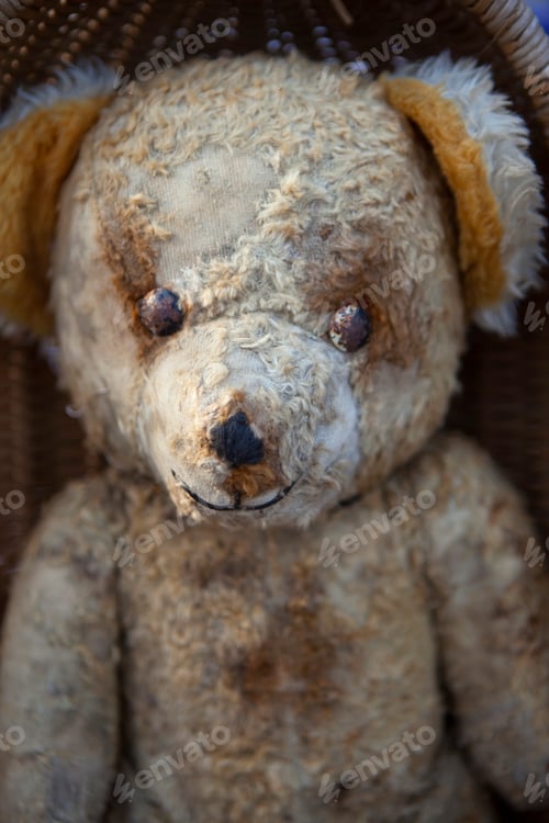 Preview: Old teddy bear