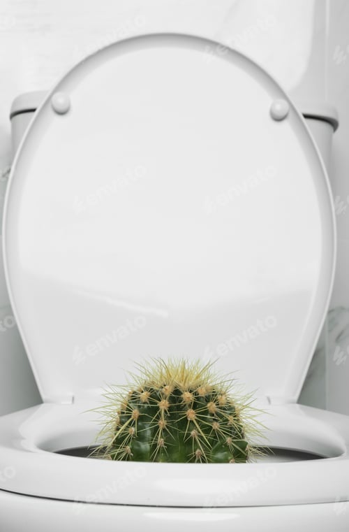 Preview: Toilet bowl with cactus near marble wall. Hemorrhoids concept
