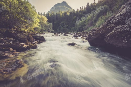 Preview: Mountain river in the green forest