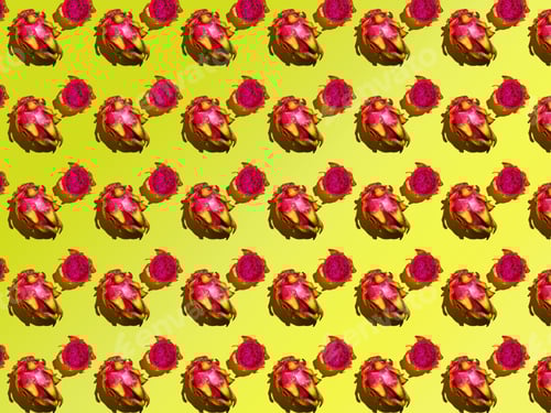 Preview: Dragon Fruit Pattern - Pitahaya Cut into pieces and whole on a yellow background