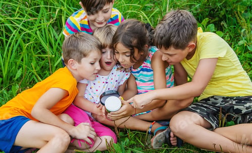 Preview: Children look at a magnifying glass on the nature. Selective focus.