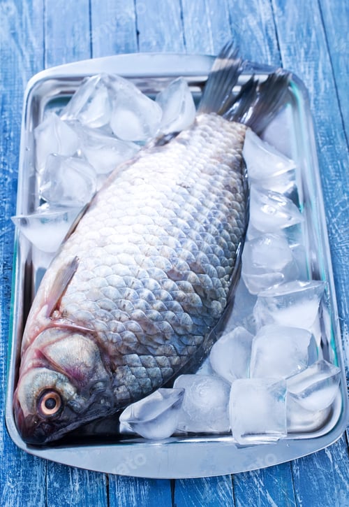 Preview: fish