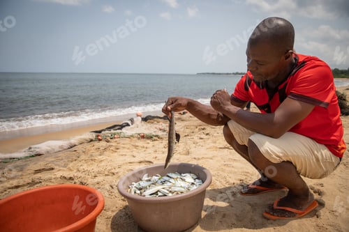 Preview: African fisherman looks at the fish he just caught in a bucket, fisher at the beach while working