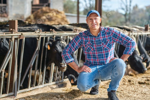 Preview: Portrait Of A Man On Livestock Ranches