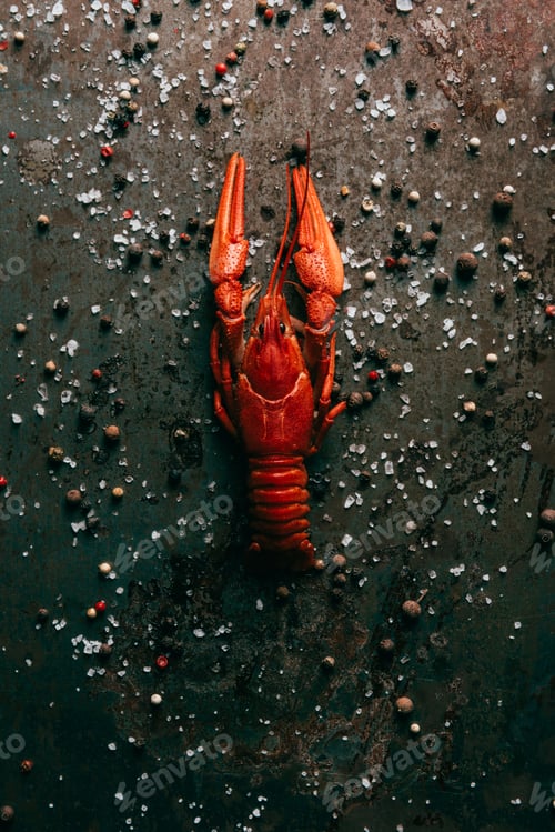 Preview: crayfish with mint on table with salt and black pepper