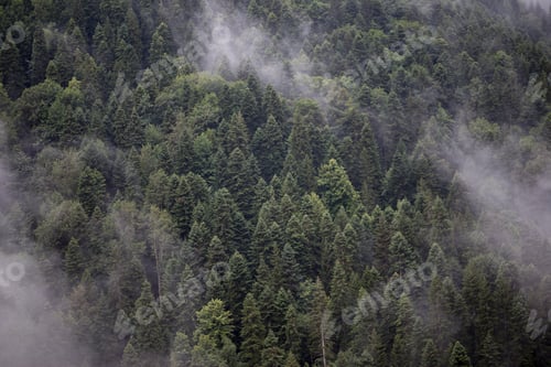 Preview: foggy cloudy morning in the mountains