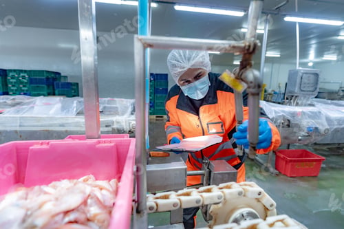 Preview: The research team inspected the seafood production line and machinery.