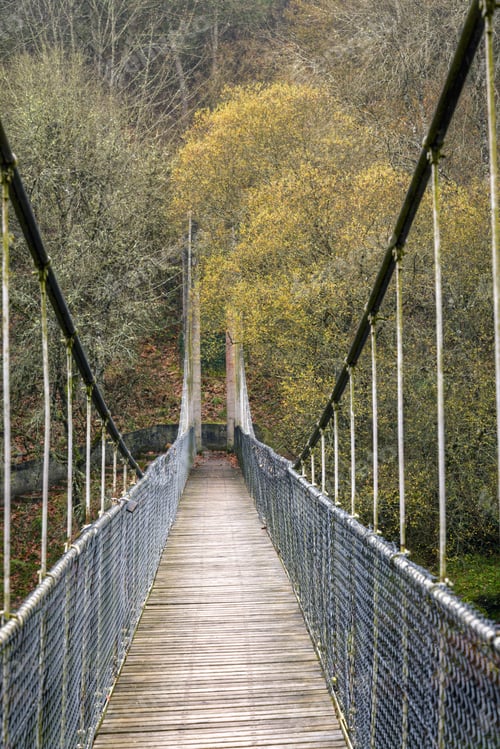 Preview: Suspension bridge made of wood and steel