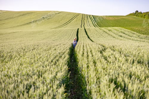 Preview: Child Walking Through Wheat Field
