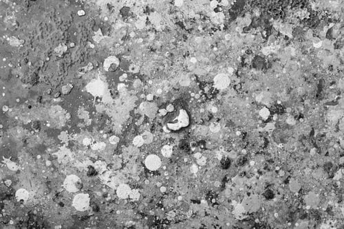 Preview: The Abstract Textured Speckled Surface With Spots Of Paint Of Monochrome Tone For Wallpaper And For