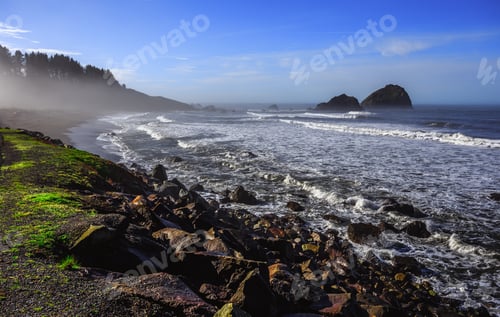 Preview: Redwood Beach, Redwoods National & State Parks, California