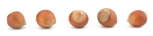 Preview: Hazelnut or filbert nut isolated on white background cutout