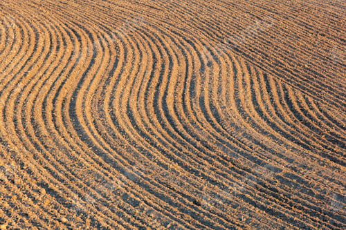 Preview: Detail of fertile, tilled farmland and rolling hills at dusk, Palouse