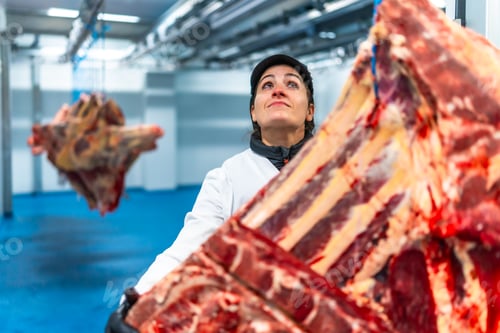 Preview: Woman working in a cold storage room in slaughterhouse
