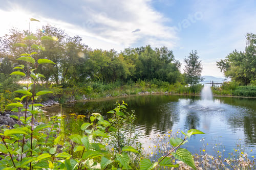 Preview: Water fountain refreshing small pond in salmon arm, british columbia