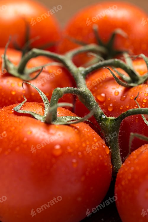 Preview: Close up of fresh red tomatoes vegetable